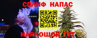мяу мяу мука Гай