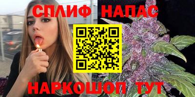 MDMA Гатчина