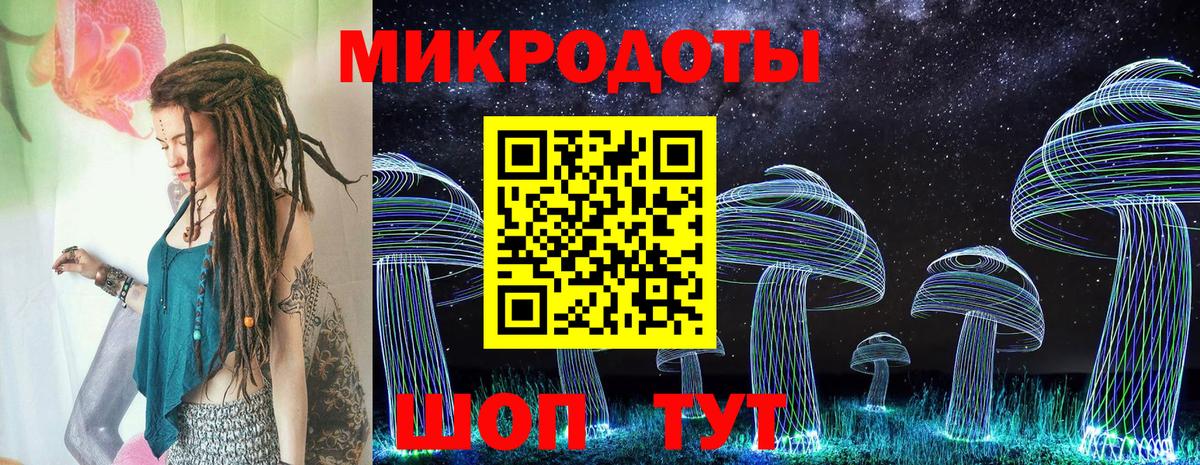 Псилоцибиновые грибы Magic Shrooms  купить наркоту  Михайловка  Вход с VPN  Псилоцибиновые грибы мухоморы 