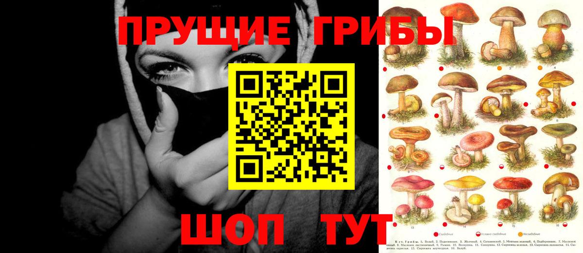 Галлюциногенные грибы ЛСД Михайловка